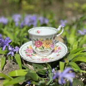 Vintage Queen’s Fine Bone China Teacup & Saucer | Aster Floral